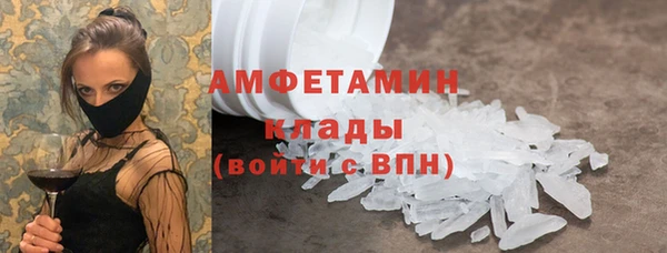 гидра Аркадак