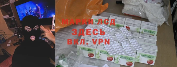 гидра Аркадак