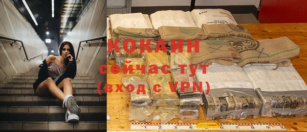 гидра Аркадак