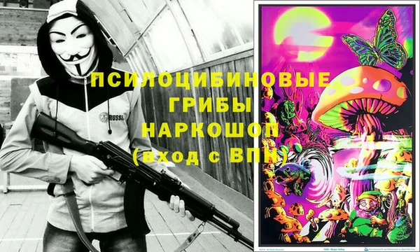 гидра Аркадак